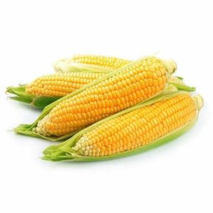 ESPIGA DE MILHO VERDE CANELAS ESPECIAL 750G