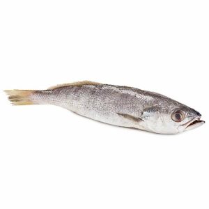PESCADA FRESCA GOETE INTEIRO KG